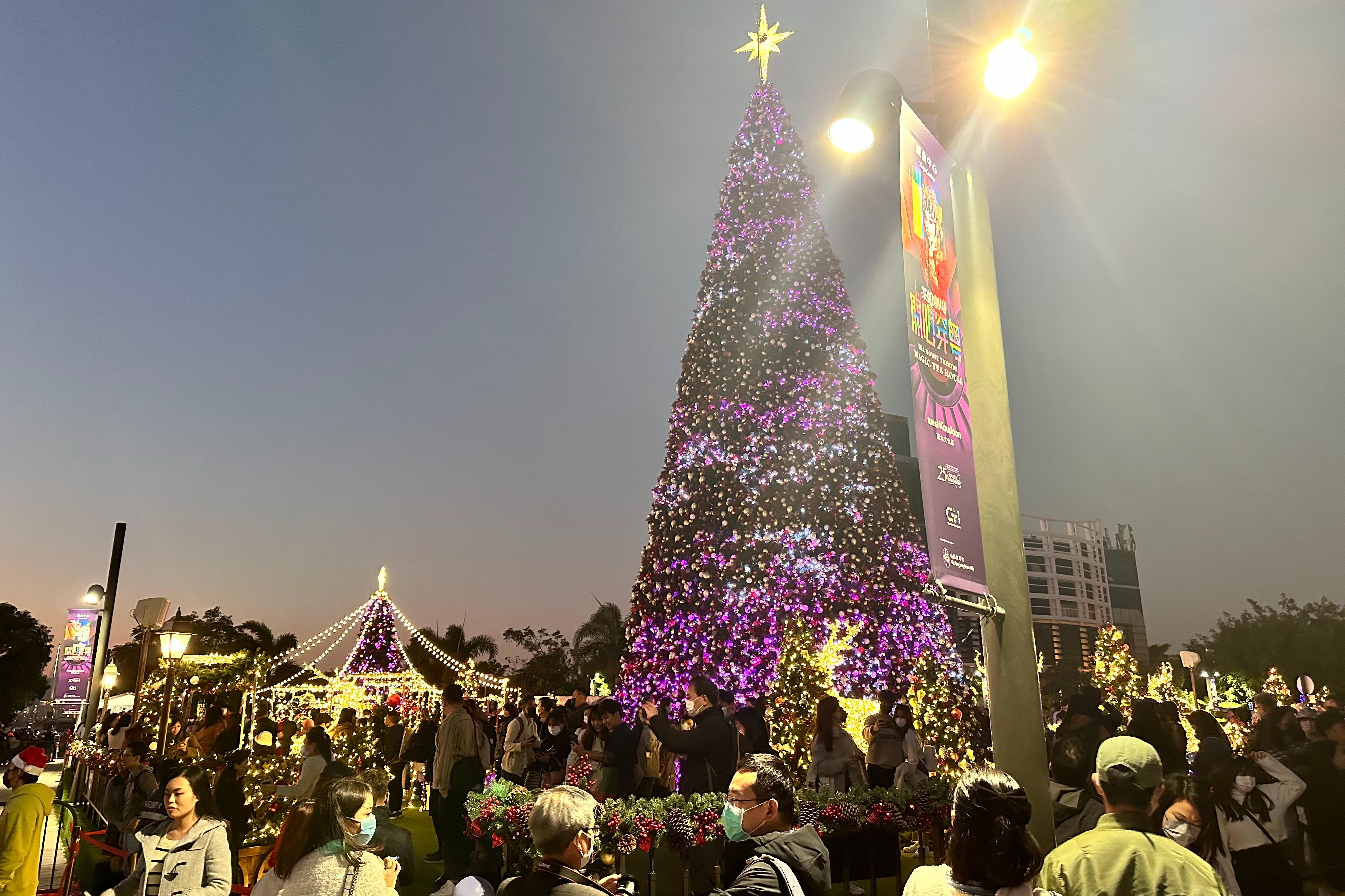 巨型聖誕樹閃耀西九文化區 大批市民入場打卡歡度佳節