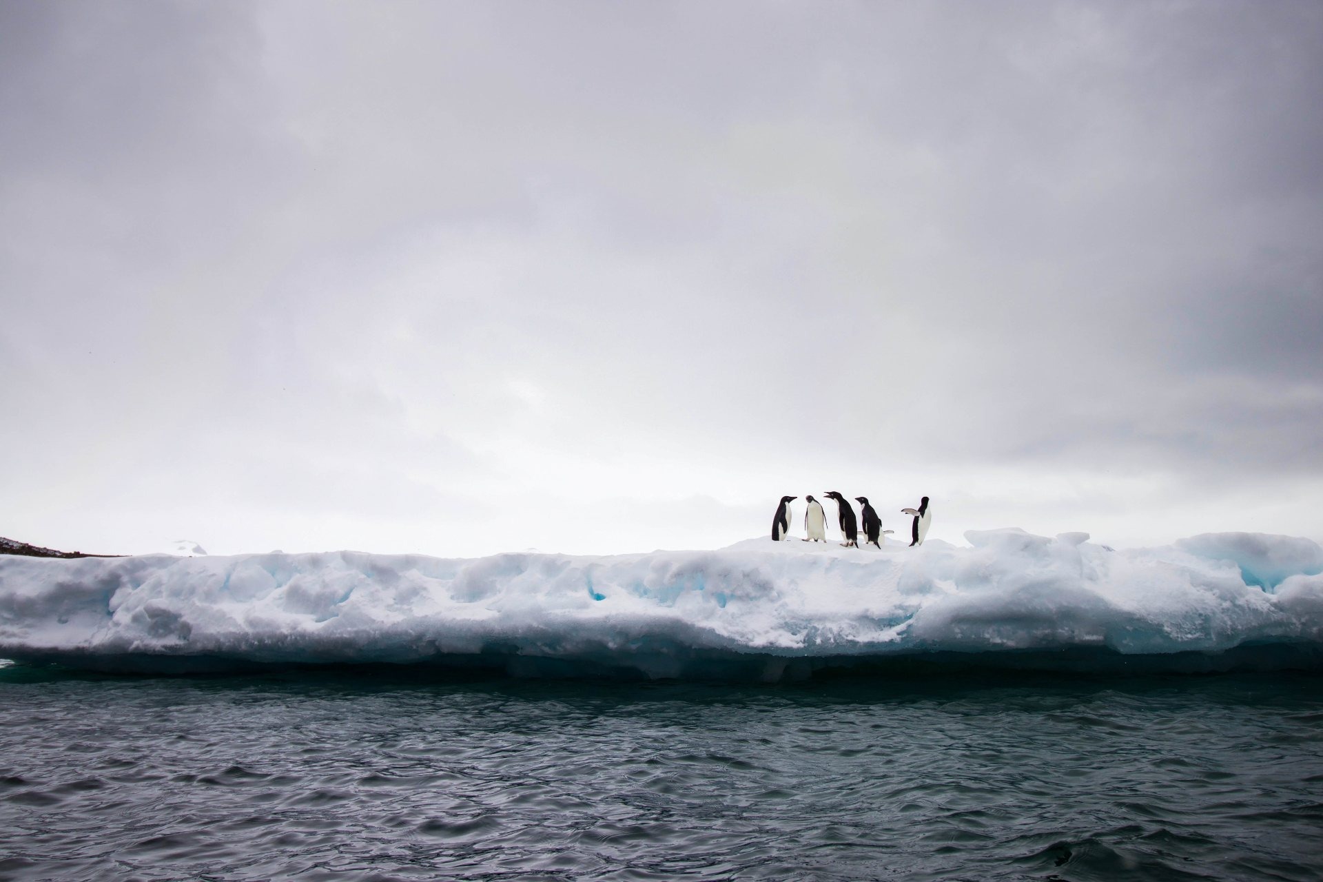 南極海冰面積持續減少 僅剩190萬平方公里創新低