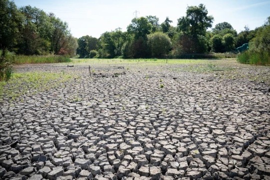 乾旱危機！泰晤士河源頭史上最乾 英國限水英超增「飲水令」