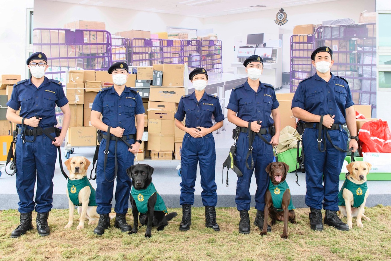 海關成立首支 槍械搜查犬隊