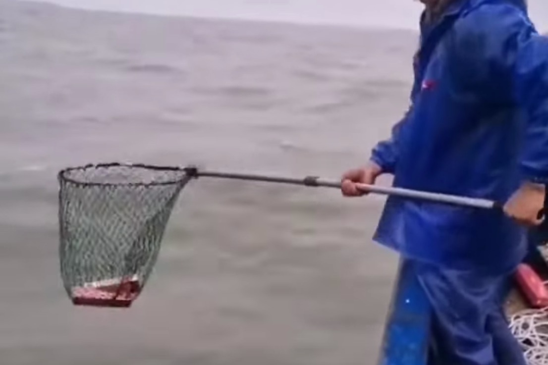 浙江海面驚現名牌香煙漂浮 漁民「野生捕獲」邊撈邊吸