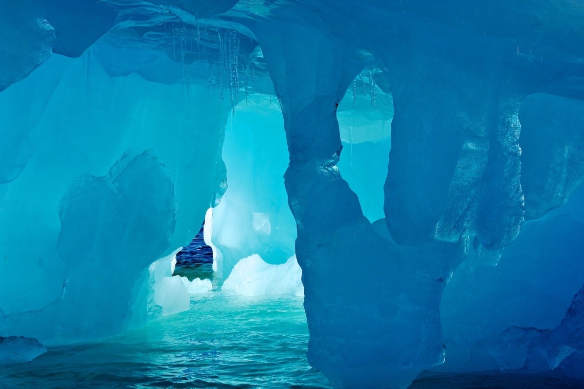 南極洲地下  科學家發現新生命