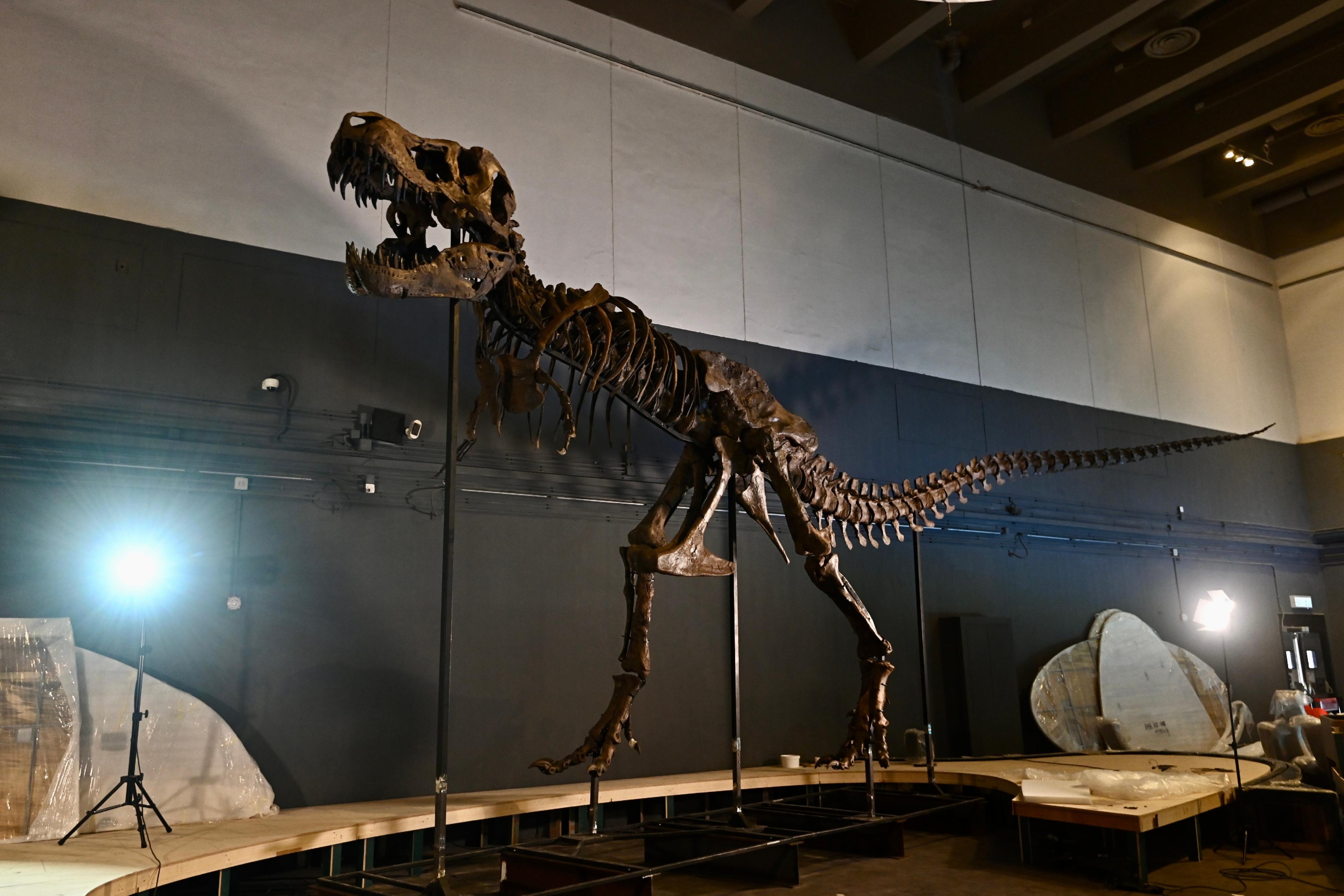 慶回歸25周年免費入場 科學館7月演真．侏羅紀世界