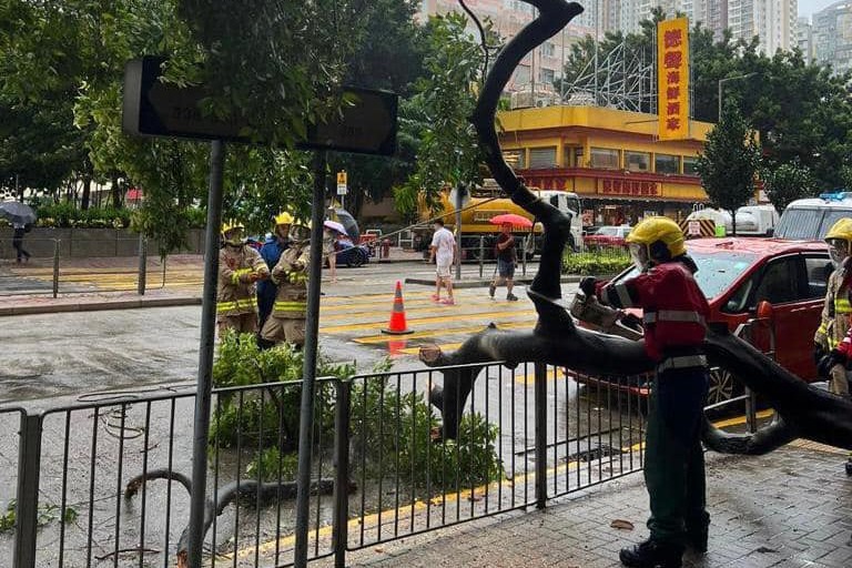 風暴期間逾1500宗塌樹報告共86人受傷 李家超：「全政府動員」處理颱風善後