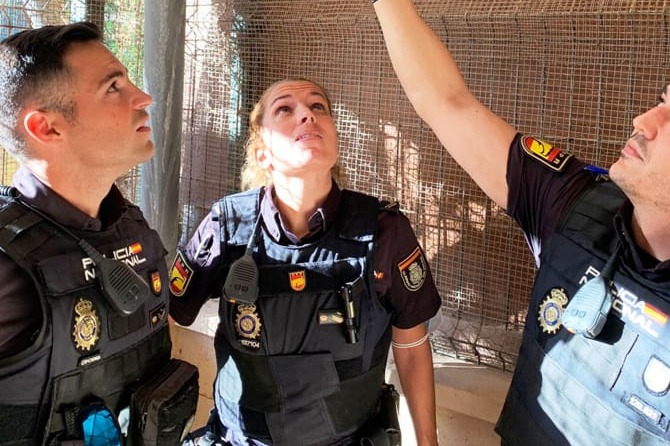 西班牙法院廢考女警身高限制 唔夠160厘米都可以合資格投考