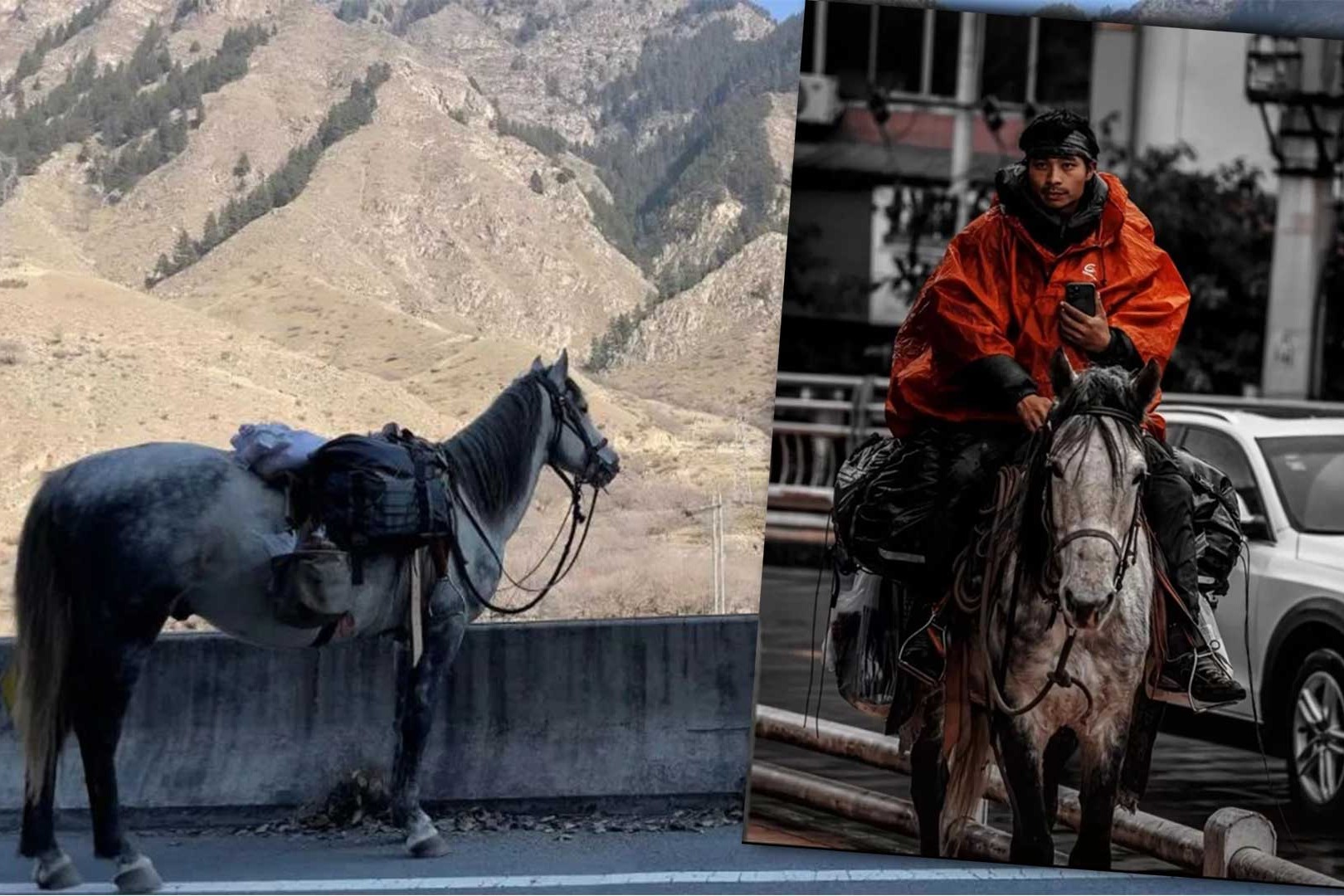 重慶男騎馬從新疆回鄉
 半年每天花費低於50元