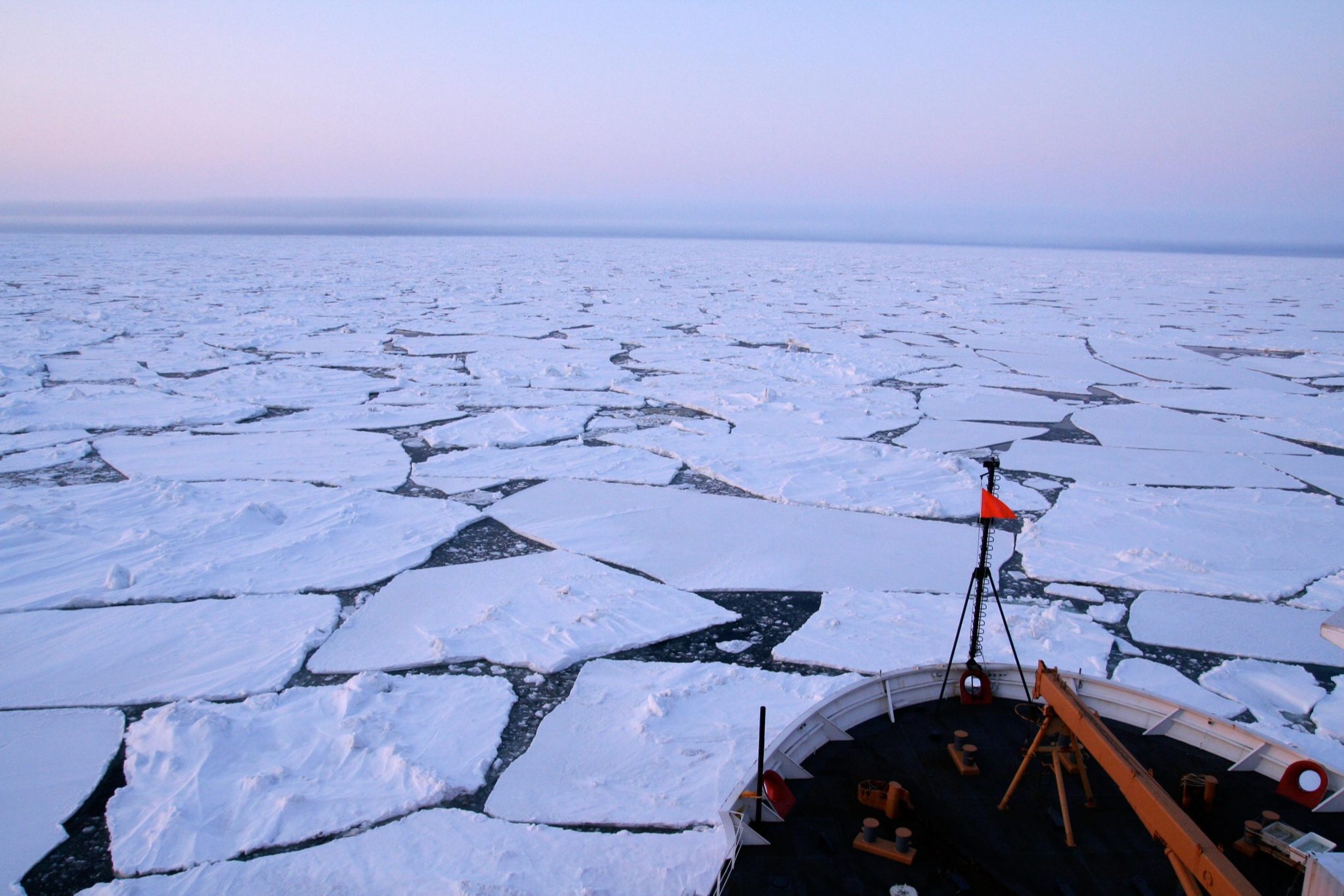 研究顯示北冰洋暖化
 不會令魚類和其它動物大幅增加數量