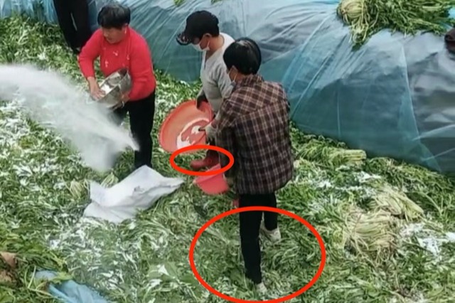 安徽村民穿鞋踩踏醃製土坑 酸菜魚製作「秘方」被公開