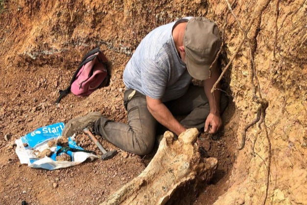 法國男子帶愛犬散步遇山崩
 發現7千萬年泰坦巨龍化石