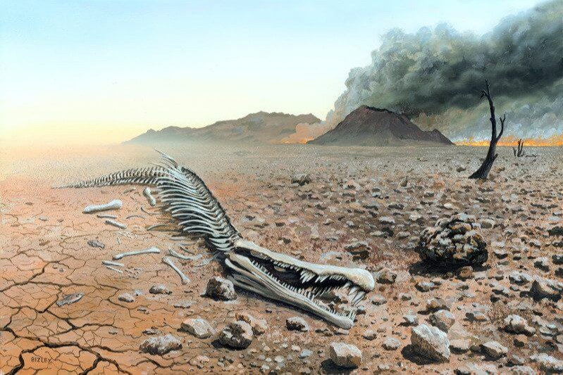 2.5億年前陸地生命大滅絕 主因或為「硫酸雨」