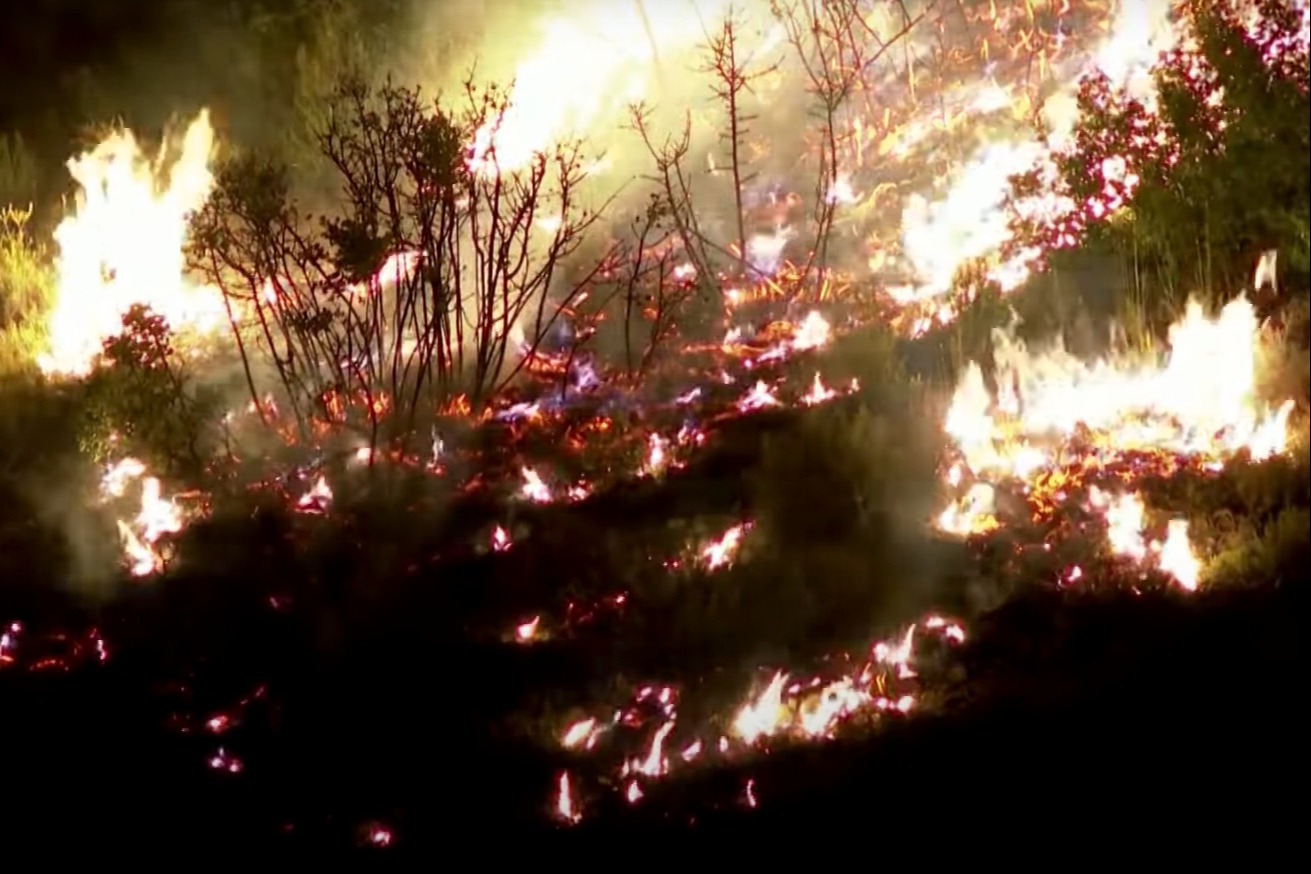 歐洲山火燃燒遍野國國有火頭 燒毀近66萬公頃土地創新高